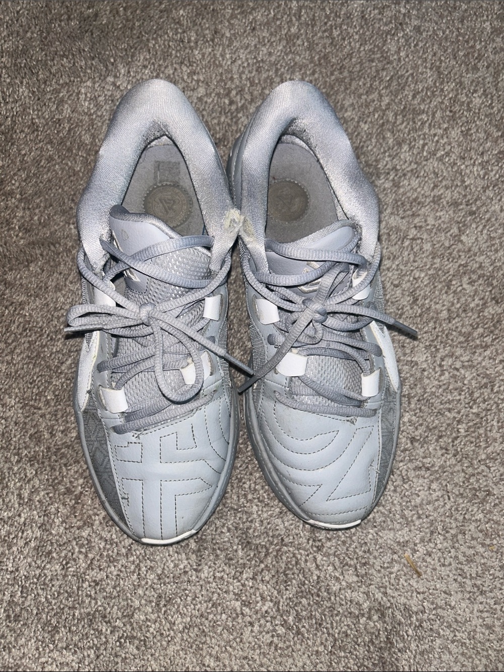 Nike Grey Low-Top Basketball Shoes